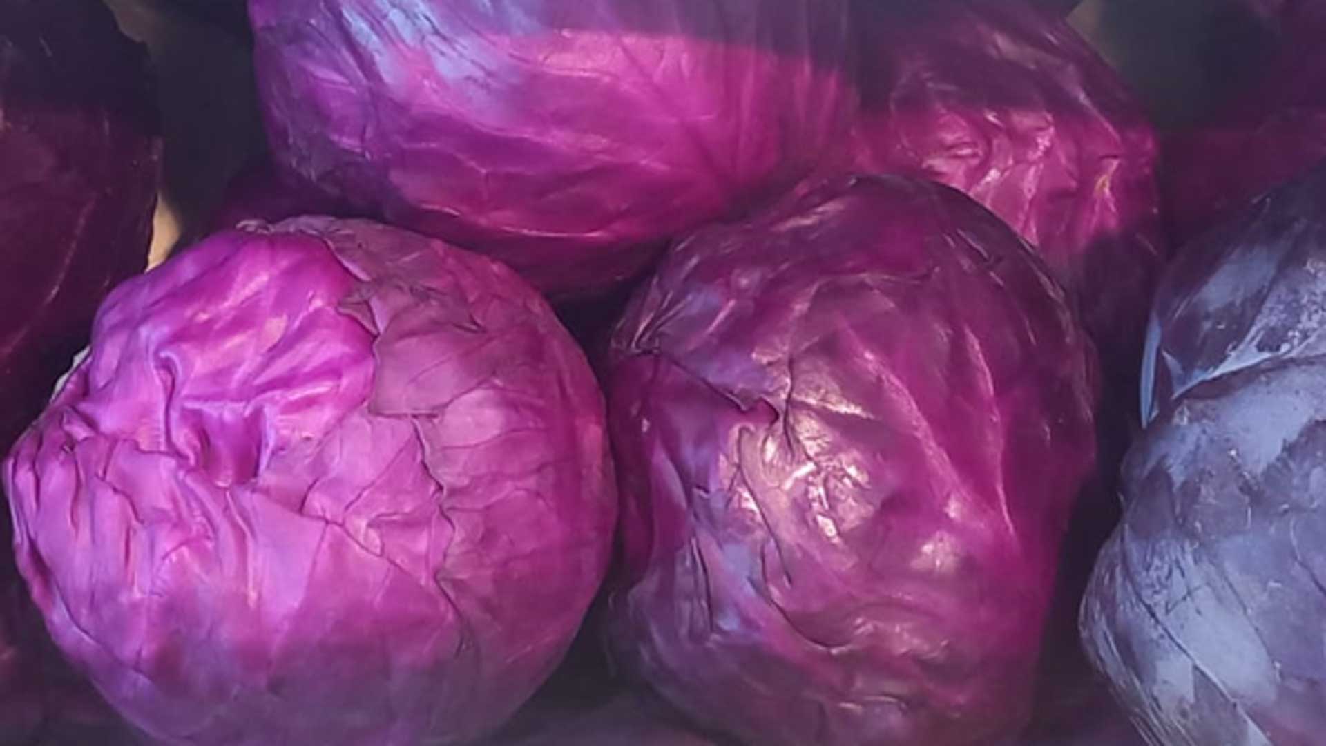 Il cavolo rosso non passa inosservato: il suo colore intenso racconta già quanto sia ricco di antiossidanti.